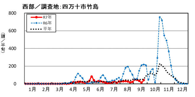 image (西部_四万十市竹島)