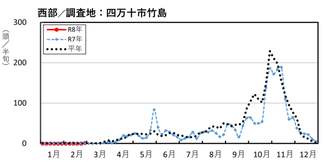 image (西部_四万十市竹島)