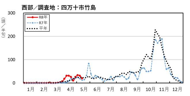 image (西部_四万十市竹島)