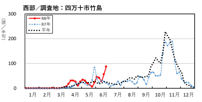 image (西部_四万十市竹島)