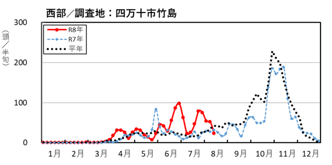 image (西部_四万十市竹島)