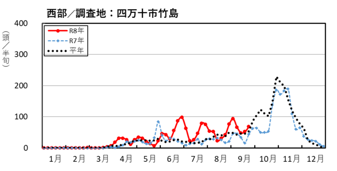 image (西部_四万十市竹島)