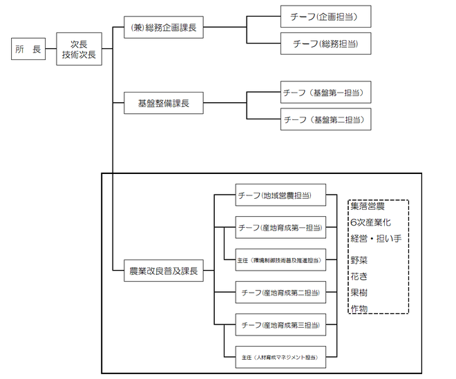 体制表