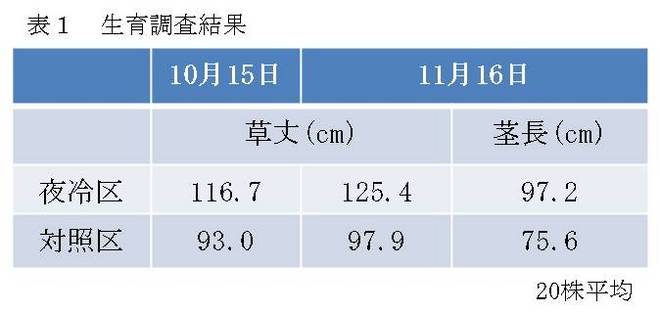 表１　生育調査結果