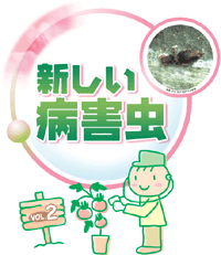 技術情報ライブラリー目次に戻る