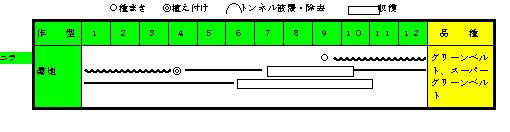 ニラ年間の作付け計画.gif