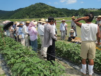 今年も多くの生産者が集まった現地検討会