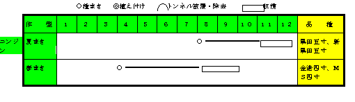 ニンジン年間の作付け計画.gif