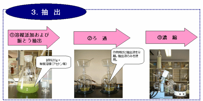 分析３