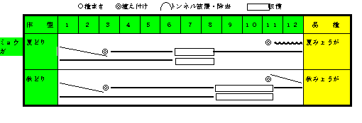 ミョウガ年間の作付け計画.gif