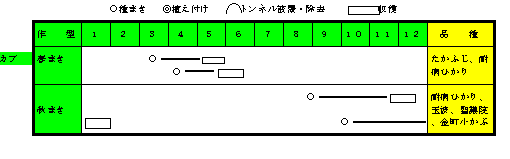 カブ年間の作付け計画.gif