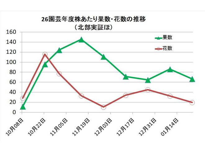 果数花数