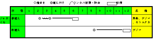 ジャガイモ年間の作付け計画.gif