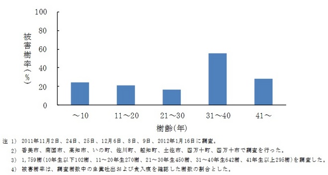 樹齢の違いによる被害