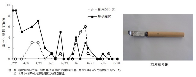 粗皮削りの効果