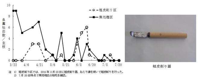 粗皮削りの効果