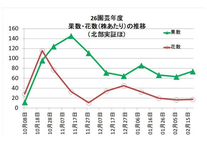 着果数開花数.jpg