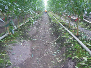 北2中通路