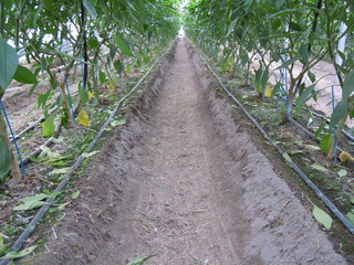 中央2中通路