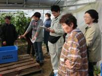 現地視察の様子