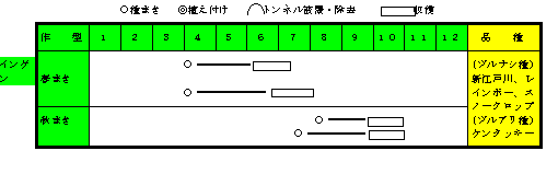 インゲン年間の作付け計画.gif