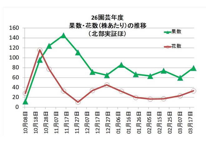 着果数開花数３中.jpg