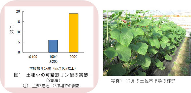 土壌実態調査の結果