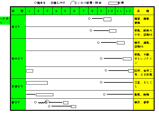 ハクサイ年間の作付け計画.gif