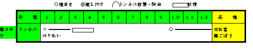 家庭菜園 葉ゴボウ こうち農業ネット