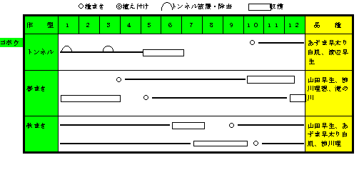 ゴボウ年間の作付け計画.gif