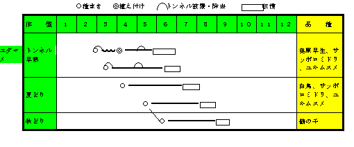 エダマメ年間の作付け計画.gif