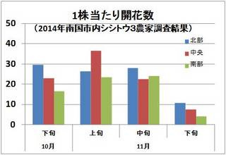 開花数11下.jpg