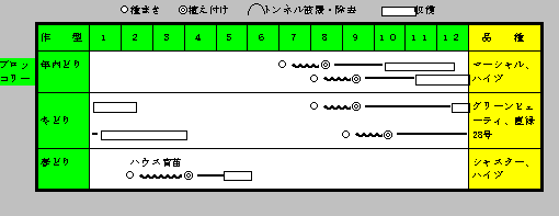 ブロッコリー年間の作付け計画.gif