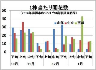 開花数