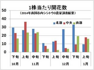 開花数１上.jpg