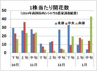 開花数1月中旬.jpg