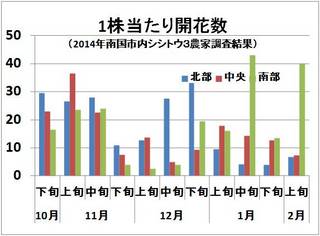 開花数2上.jpg