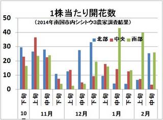 開花数２下.jpg