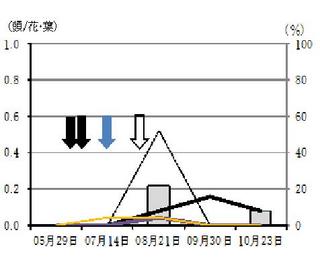 グラフ