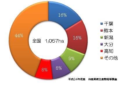 新高.jpg