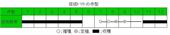 トマト作型(農業ネット).jpg