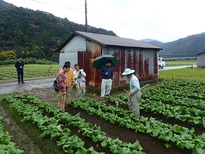 先進地視察研修