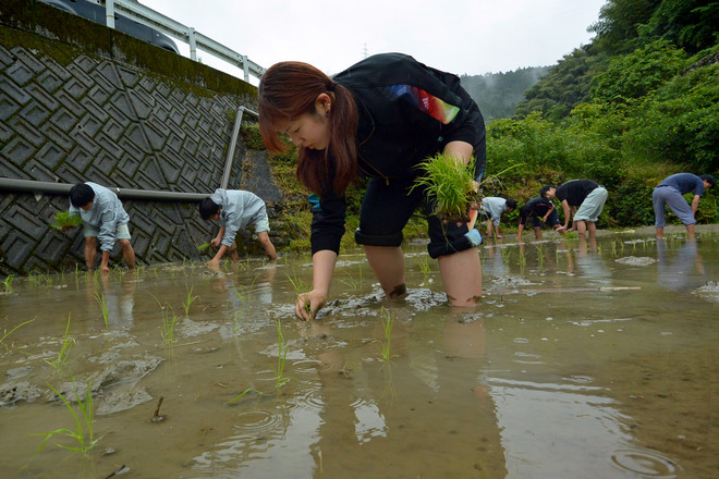 成山田植