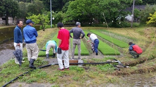 JA四万十厳選にこまる育苗現地検討会