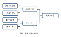 高育76号の系譜