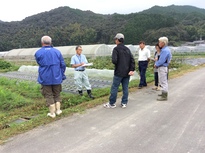 秋冬野菜現地検討会