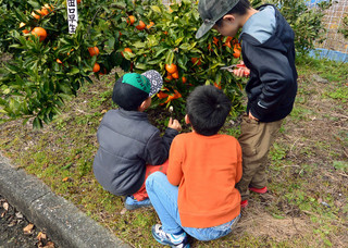 「子供オープンキャンパス」２