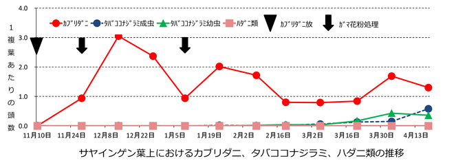 グラフ