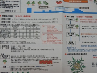 栽培指針