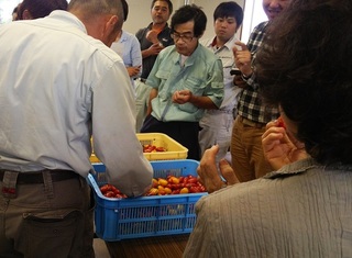 JAミニトマト部会目慣らし会